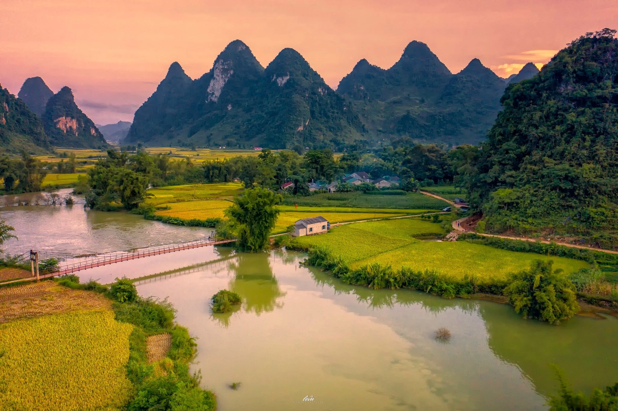 Harvest time in Vietnam: ripe rice on two sides of Quay Son river