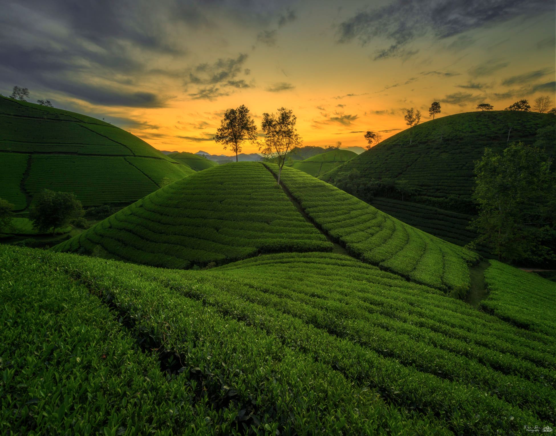 Tea drinking-a long standing culture of Vietnam