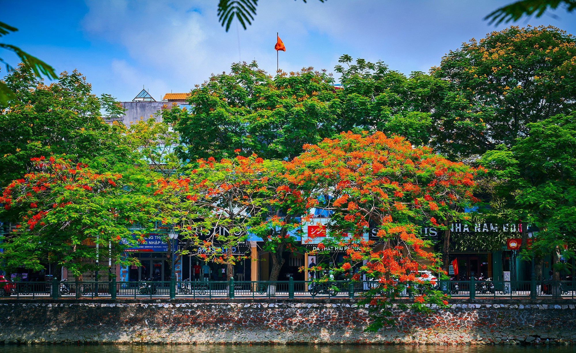 ​Hai Phong – The city of Phoenix flowers