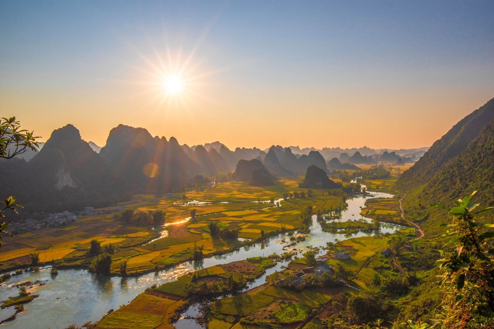 Harvest time in Vietnam: ripe rice on two sides of Quay Son river