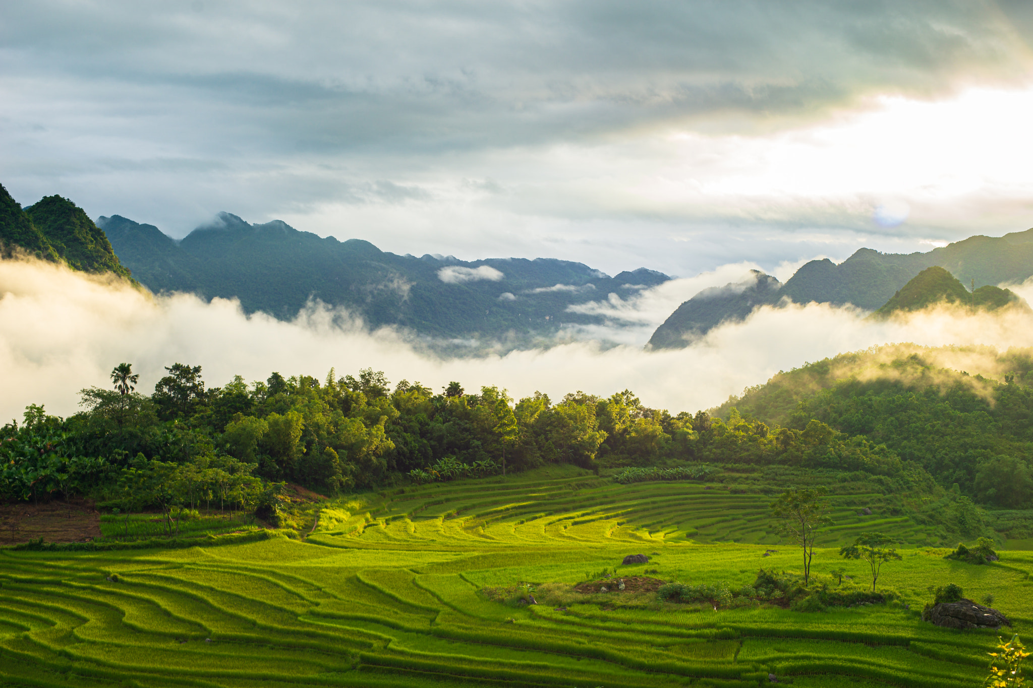 Hanoi to Pu Luong: A comprehensive guide for first-time travelers